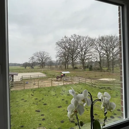 Apartamento Ferienwohnung An Der Koppel